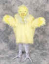 chicken11small.jpg (57097 bytes)